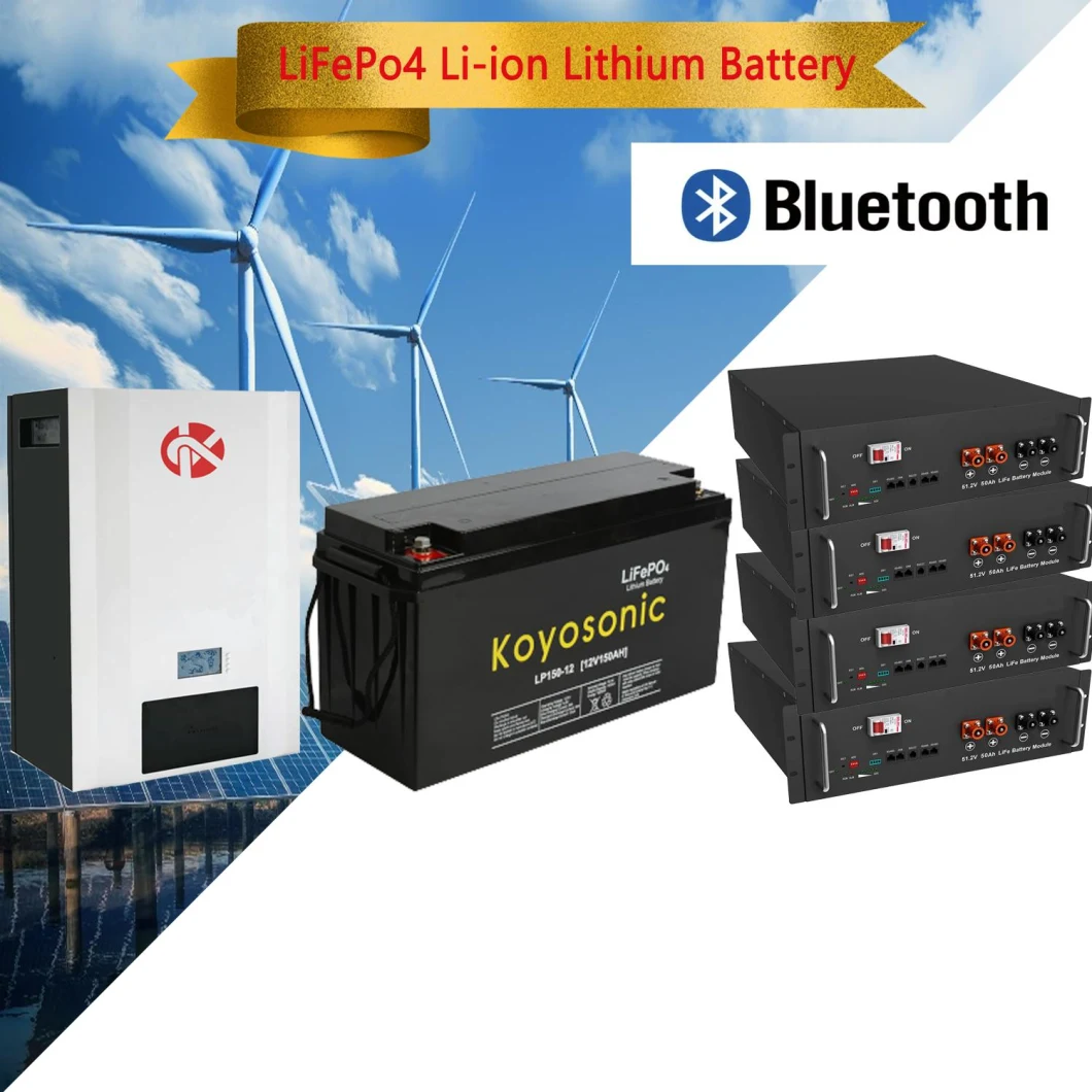 12V 24V Lithium Battery 100ah 200ah 300ah 50ah 12V/24V LiFePO4 Battery for Solar Factory Price
