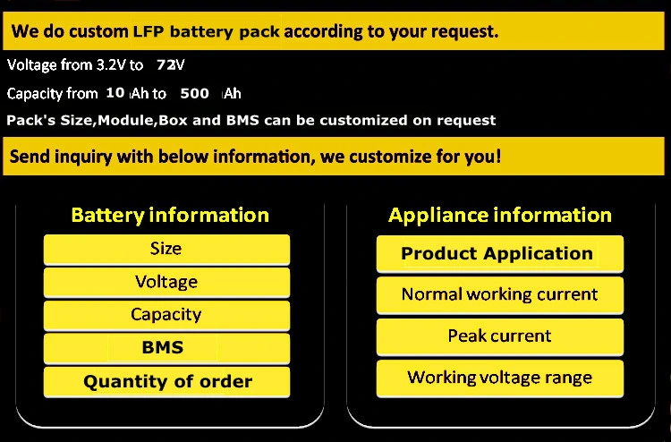 Deep Cycle 12V/48V 100ah/200ah Lithium Solar/Car LiFePO4 Storage Battery Pack for Electric Scooter Vehicle Bicycle Marine RV UPS